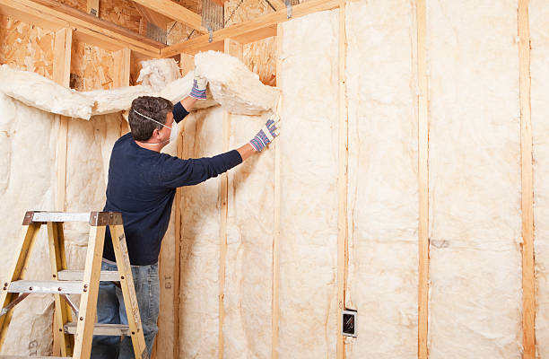 Best Insulation for New Construction  in USA